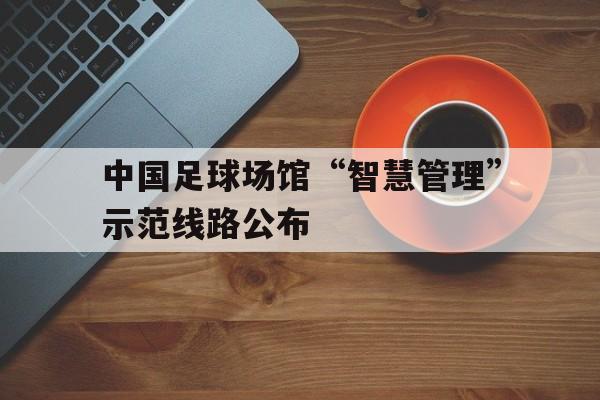 下载开云-关于中国足球场馆“智慧管理”示范线路公布的信息